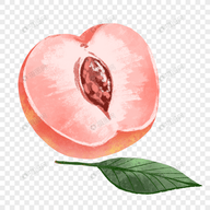 WWW,lll89·COM网站APPAPP应用